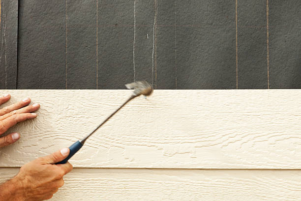 Best Steel Siding Installation  in Cordry Sweetwater Lakes, IN